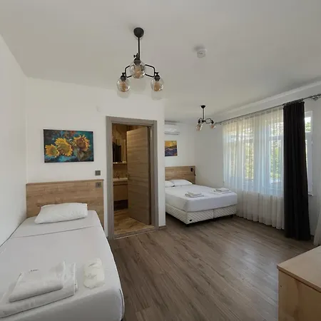 Hotel Parli
