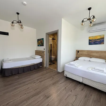Parli Hotel *