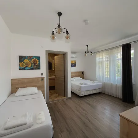 Parli Hotel *